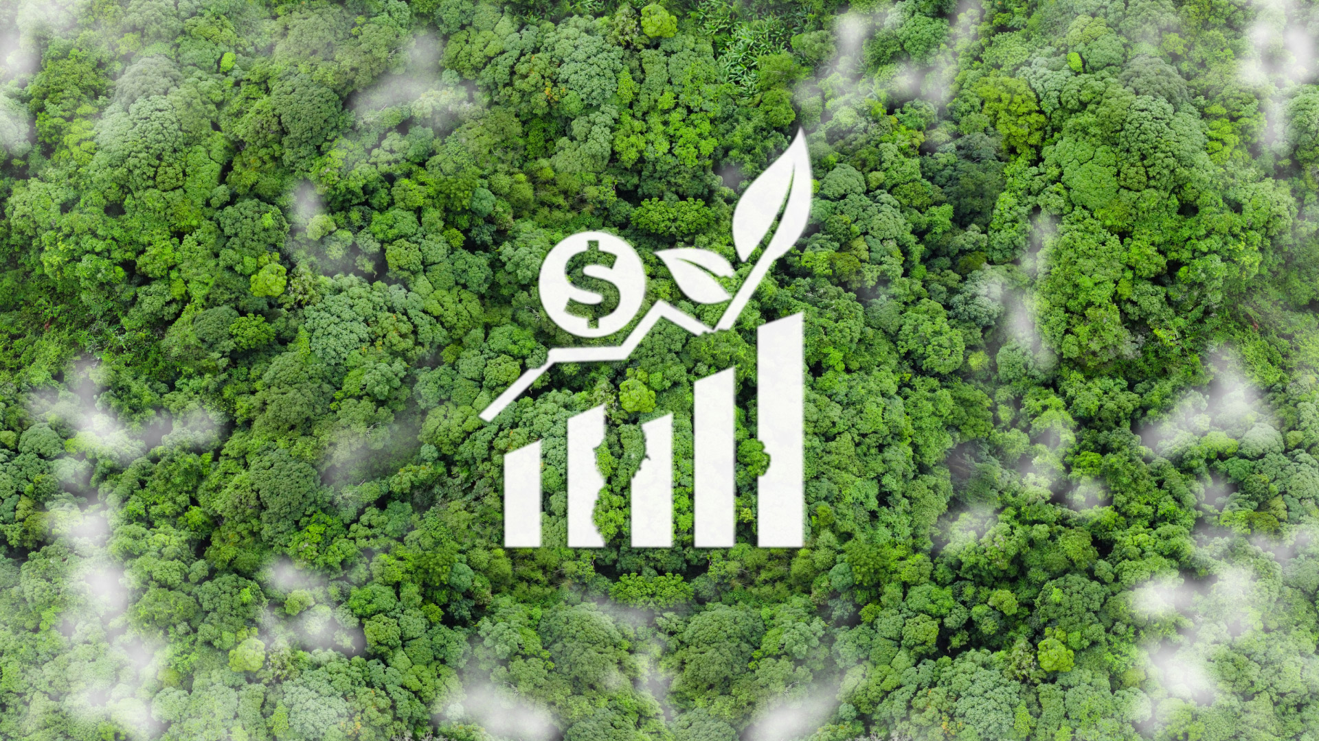 Image: Carbon Credits Gain Value, CCUS Projects Accelerate