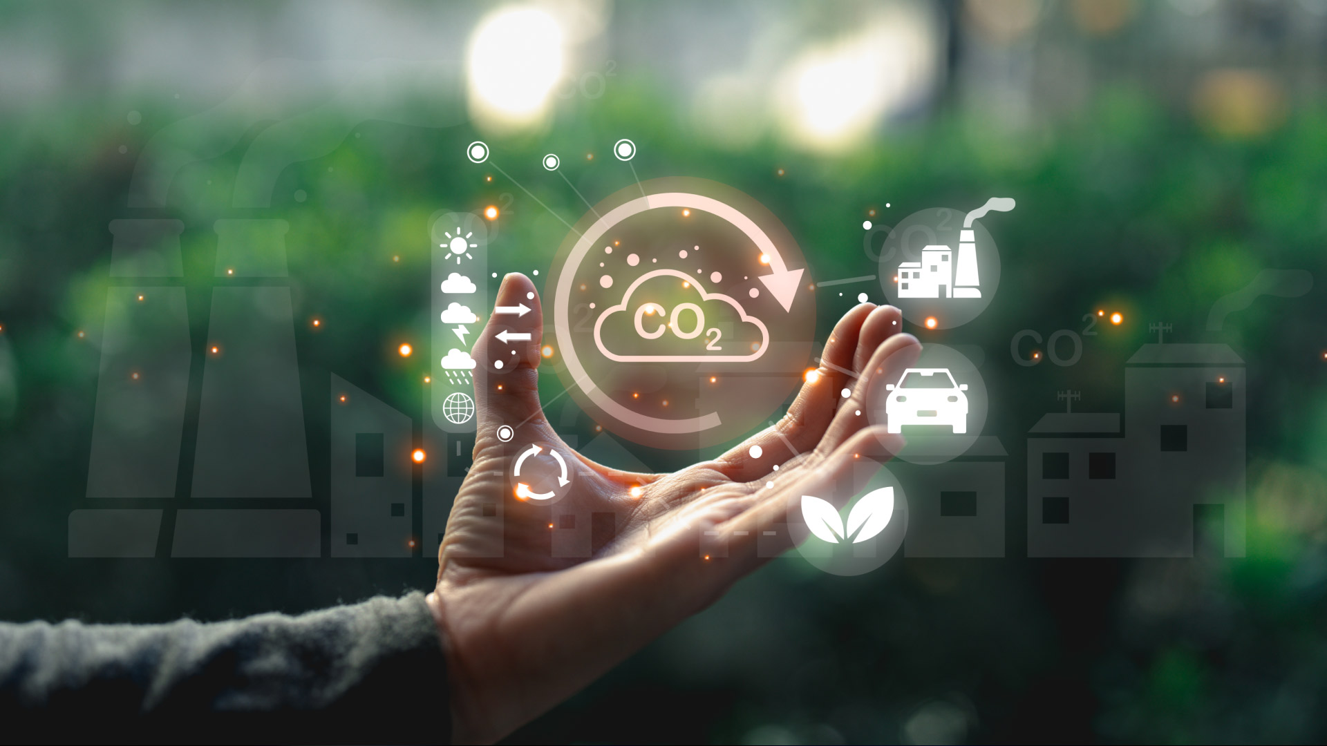 Image:  AI and Satellites Are Cleaning Up Carbon Markets